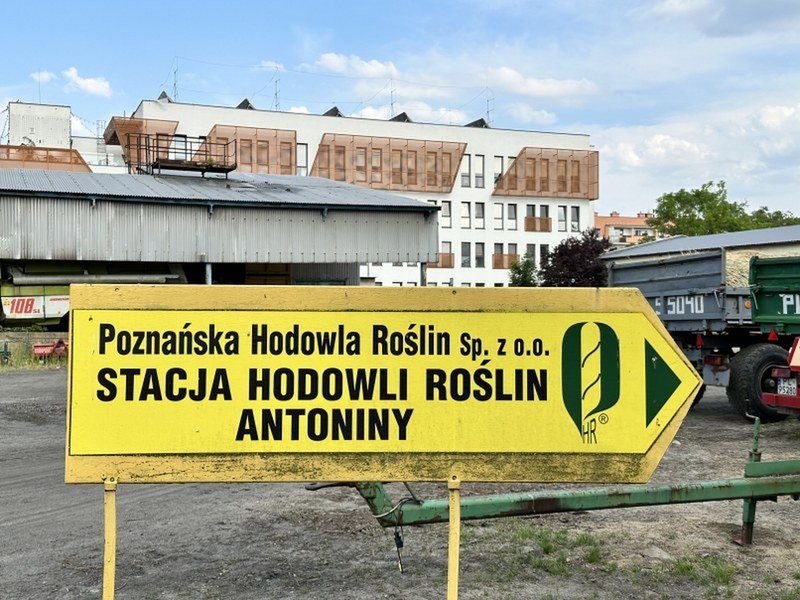 Antoniny w Lesznie to jeden z ciekawszych fragmentów miasta
