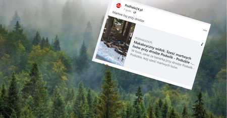 Leżały martwe pokotem. Znalazł je przypadkowy turysta