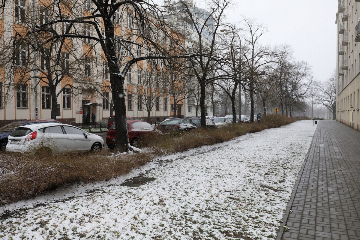 Pierwszy weekend kwietnia przyniesie prawdziwą zimę 