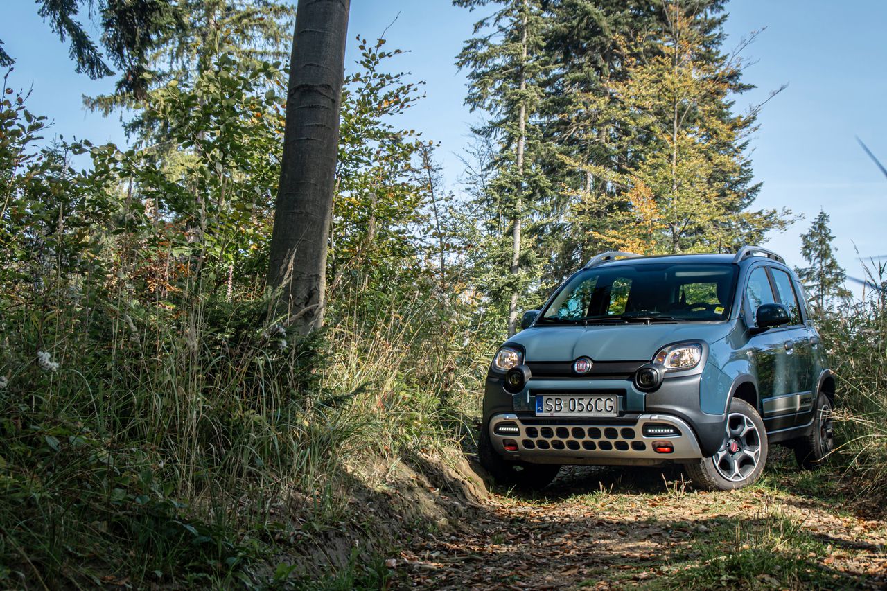 Fiat Panda Cross 4x4 (2021)