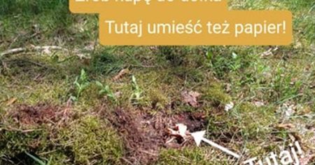 "Bądź jak borsuk". Lasy Państwowe uczą, jak załatwiać się w lesie