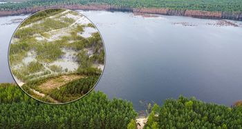Olkusz: Ogromny las pochłonęło zalewisko. Po drzewach nie ma już śladu