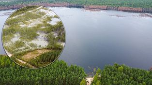 Olkusz: Ogromny las pochłonęło zalewisko. Po drzewach nie ma już śladu