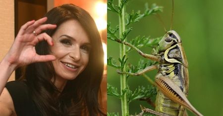 Marta Kaczyńska zachęca do jedzenia owadów: "Można znaleźć coś nie tylko zdrowego, LECZ I SMAKOWITEGO"