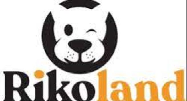 Circlewise rozpoczyna współprace z Rikoland