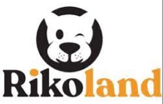 Circlewise rozpoczyna współprace z Rikoland