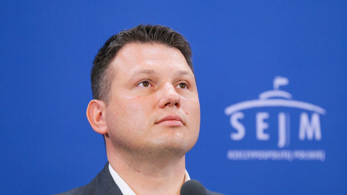 Poseł Konfederacji Sławomir Mentzen