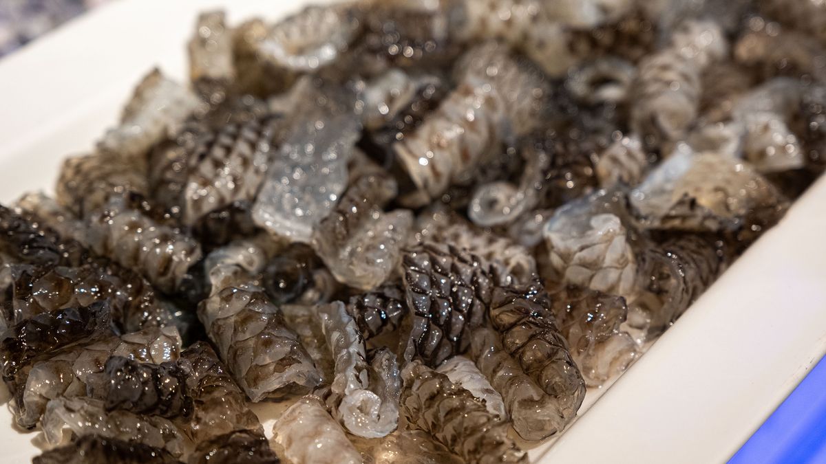 W jakich produktach znajdziemy kolagen?