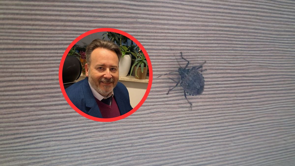 Wtyk amerykański grasuje zimą? Zadzwoniliśmy do eksperta