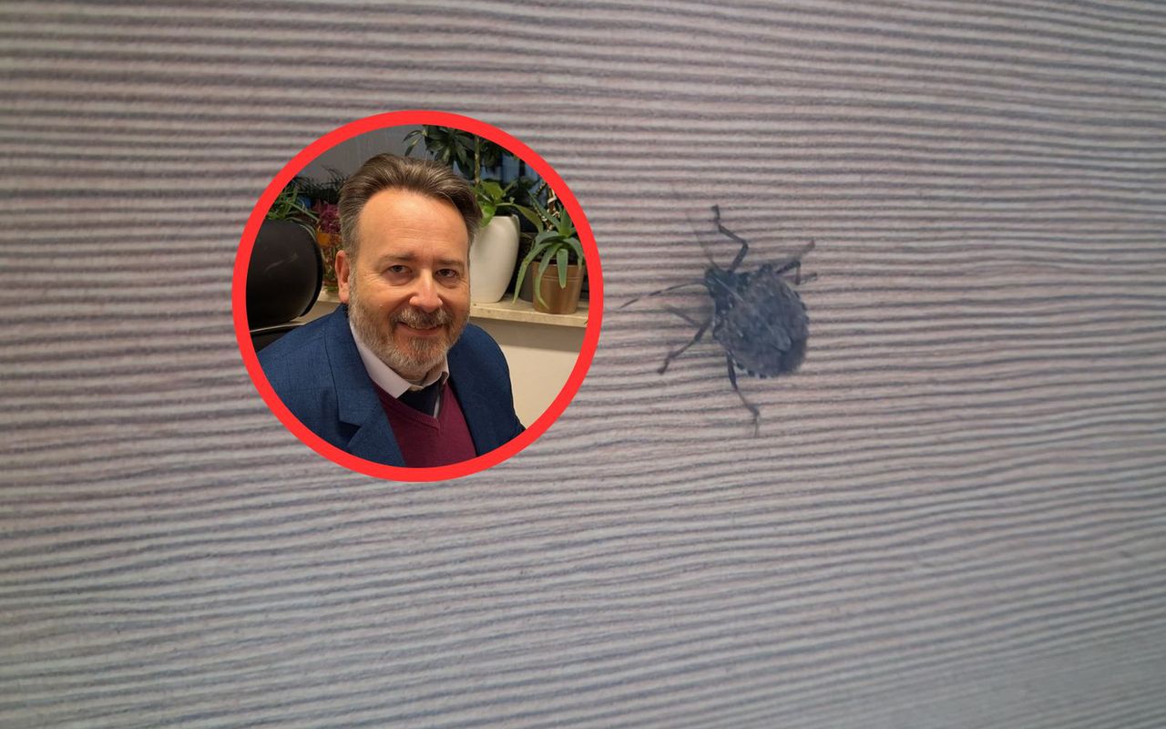 Taki widok zimą? "Nawet do prania wchodzi". Zapytaliśmy eksperta