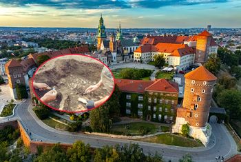 Niezwykłe odkrycia na Wawelu. Znaleziska mają setki lat