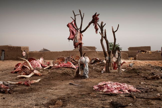 Marco Di Lauro współpracował z UNICEF UK przy dokumentowaniu poważanego kryzysu żywnościowego na zachodzie Nigru. Jego surrealistyczna, uderzająca fotografia przyciągnęła uwagę opinii publicznej, ponieważ pokazała znany problem z nowej perspektywy. Siła oddziaływania była tak ogromna, że w ramach pomocy Afrykanom, w ciągu kilku miesięcy udało się zebrać kilka milionów dolarów.