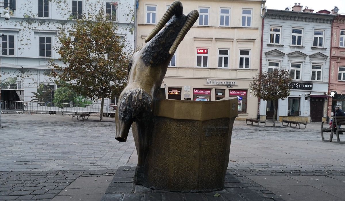 uszkodzona noga koziołka z deptaka