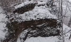 Sensacyjne odkrycie w lesie. Znalazł tajemniczy tunel