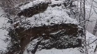 Sensacyjne odkrycie w lesie. Znalazł tajemniczy tunel