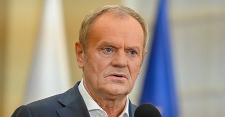 Mocne słowa Tuska. Premier zabiera głos ws. freak fightów