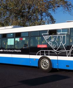 Rybnik. Tanio, szybko i wygodnie. Autobusy dowiozą na miejskie kąpieliska