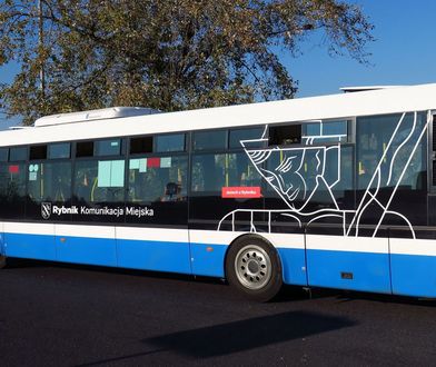 Rybnik. Tanio, szybko i wygodnie. Autobusy dowiozą na miejskie kąpieliska