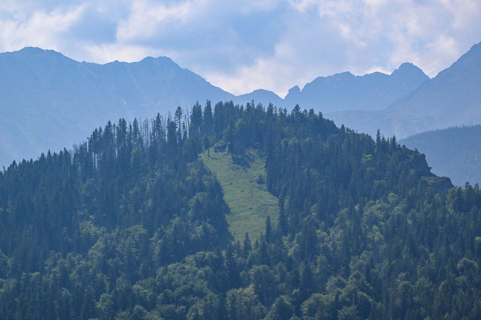 Widok na Tatry