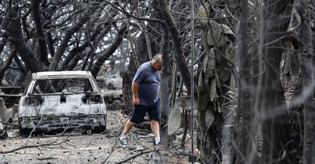 Pożary w Europie. "Będą płonęły nawet łąki i trawy"