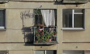 Grzywna za upiększanie balkonu kwiatami. Kodeks mówi jasno