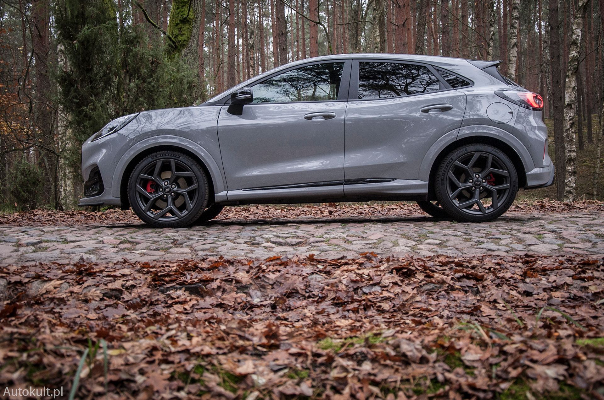 Ford Puma ST (2020) (fot. Mateusz Żuchowski)