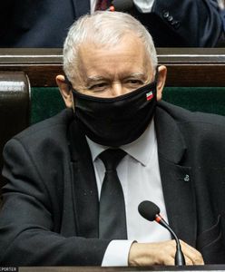 PiS odrabia straty, Hołownia z największym spadkiem. Jest nowy sondaż
