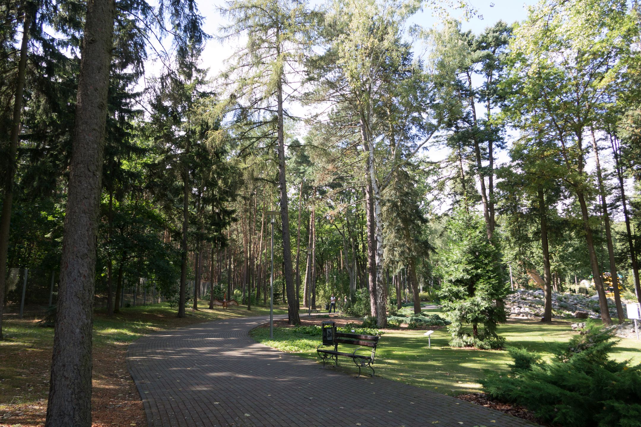 Sony RX10 Mark II - dobre, staje się jeszcze lepsze [test] 97
