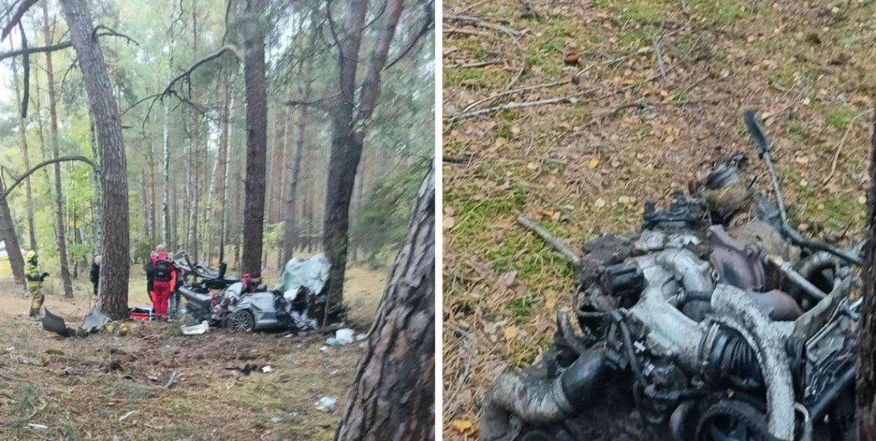 DW278: Tragedia na drodze! Auto uderzyło w drzewo, kierowca nie żyje