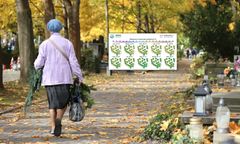 Ochłodzenie na Wszystkich Świętych? Są najnowsze prognozy