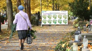 Ochłodzenie na Wszystkich Świętych? Są najnowsze prognozy