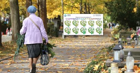 Ochłodzenie na Wszystkich Świętych? Są najnowsze prognozy