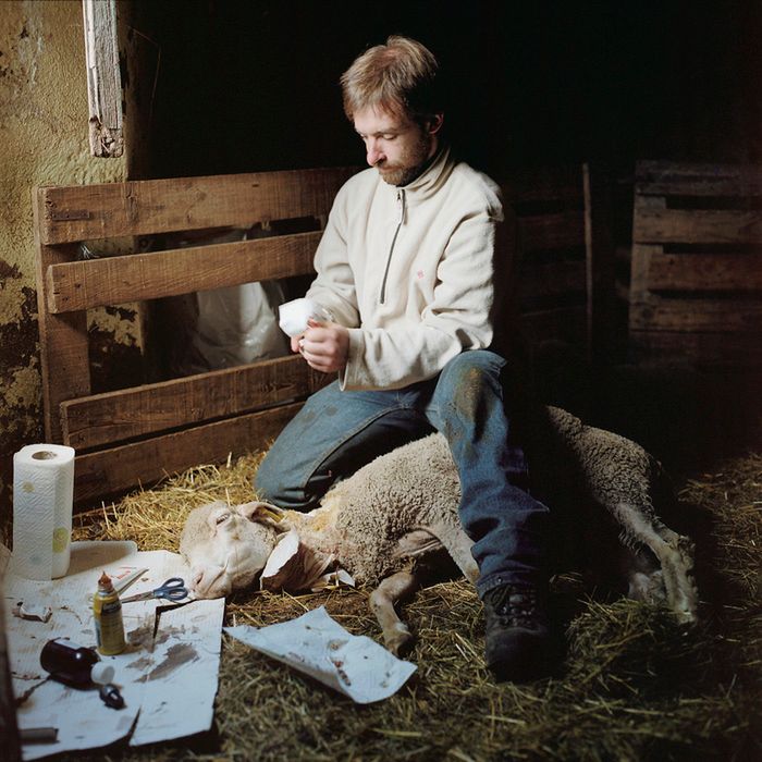 Olivier, Ardèche, Francja, 2010.