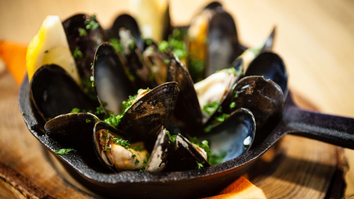 Małże to bogactwo wielu substancji odżywczych