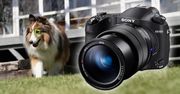 Sony RX10 IV otrzymał wykrywanie oka zwierząt w aktualizacji