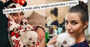 Julia Wieniawa kupiła psa z hodowli? "Dobre serce by miała, jakby wzięła szczeniaka z mrozu"