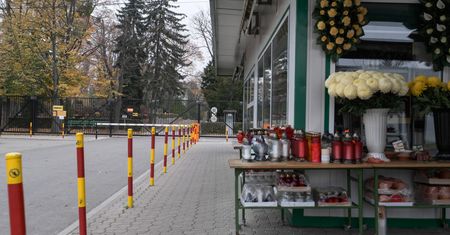 Zamknięte cmentarze. Nietypowy konkurs dla wrocławian. Można wygrać drzewo
