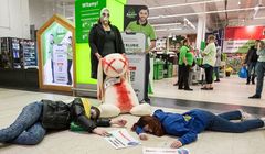 Bojkot Auchan, Decathlon i Leroy Merlin znudził Polaków? Mamy kolejne dane z paragonów