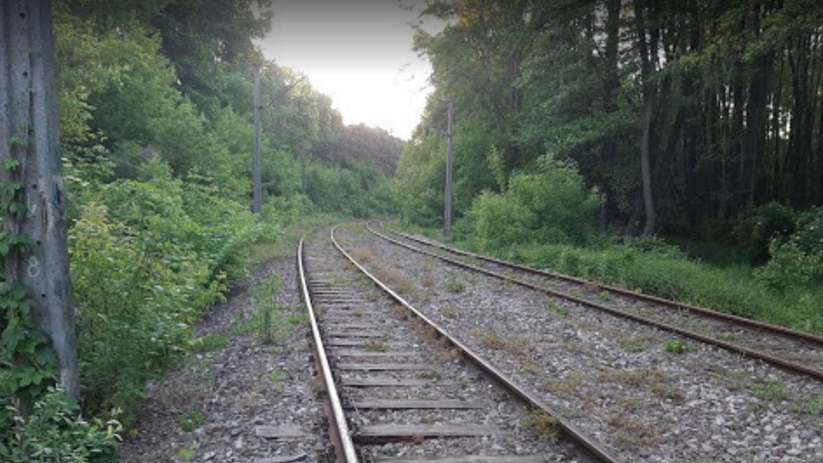 Koszmarne odkrycie na Pradze-Południe w Warszawie. Ciało wisiało na drzewie