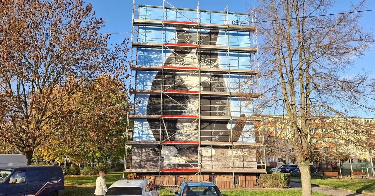 Szczecin: Najsłynniejszy kot Polski ma swój mural. Gacka można oglądać na jednej z miejskich ścian