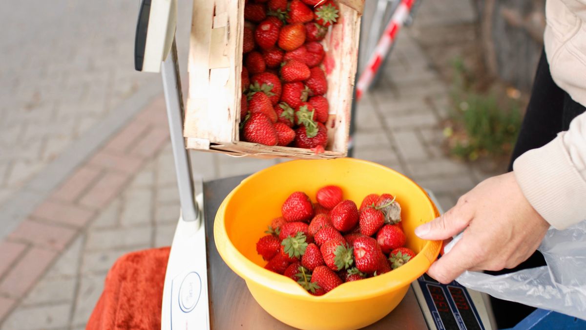 
UOKiK o truskawkach


targowisko, truskawki, czeresnie, /FR/