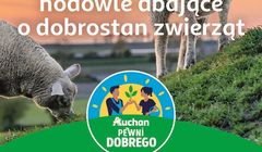 Auchan rusza z wizerunkową kampanią marki własnej Pewni Dobrego