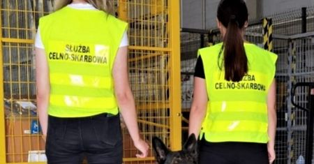 Warto zostać celnikiem w Polsce? Tylko spójrzcie na zarobki