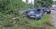 Lubelskie: Wiatr powalił drzewo. Osiem pojazdów uszkodzonych