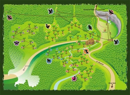 Top 10 największych parków linowych w Polsce 5