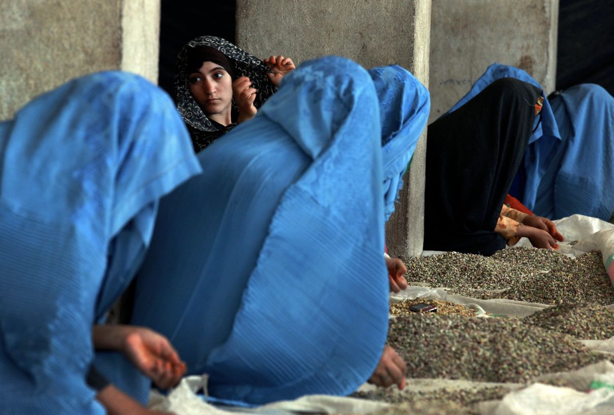 The victims of the new cultural revolution of the Taliban in Afghanistan are becoming women. Since 2021, they are gradually losing their rights.