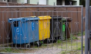 Ma śmietnik tuż pod oknem. Złożyła skargę. Oto co mówią przepisy