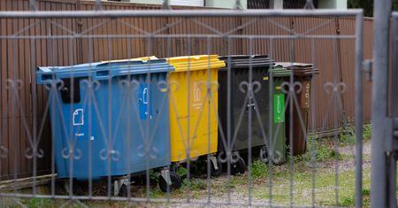 Ma dość śmietnika pod oknem. Złożyła skargę. Oto reakcja urzędników