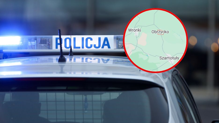 Strzały pod Szamotułami