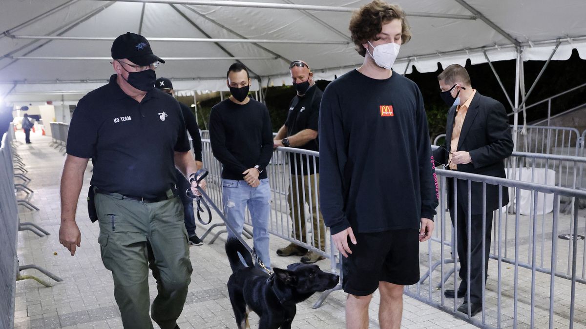 Niemieckie psy tropiące wykrywają COVID-19 z 94 proc. dokładnością.